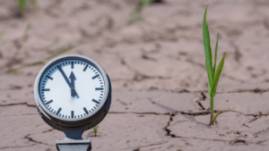 cambio climático y costes económicos